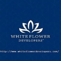 whiteflowerdevelopers