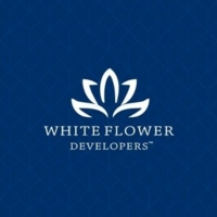 whiteflower02